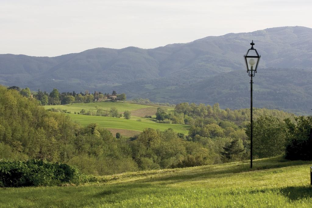 Tenuta Il Cerro Vicchio Zimmer foto